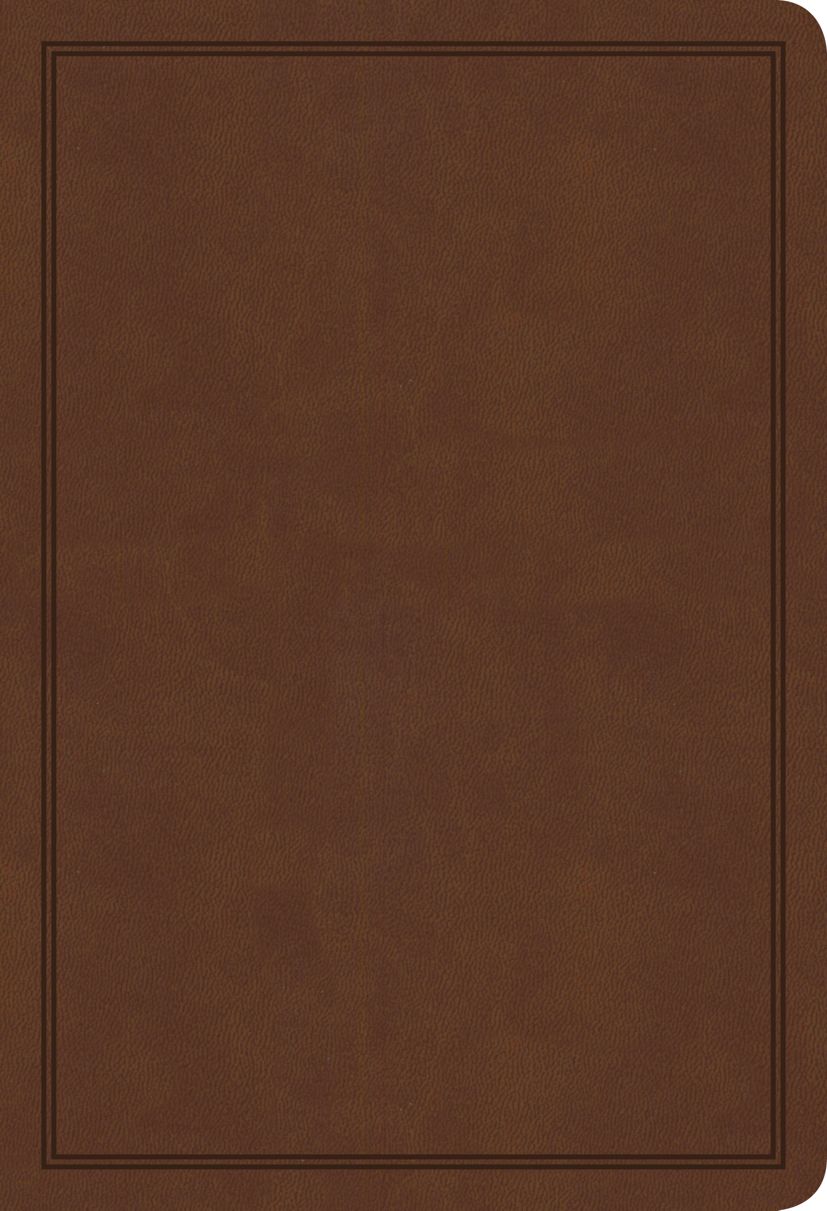KJV Deluxe Gift Bible, Brown LeatherTouch
