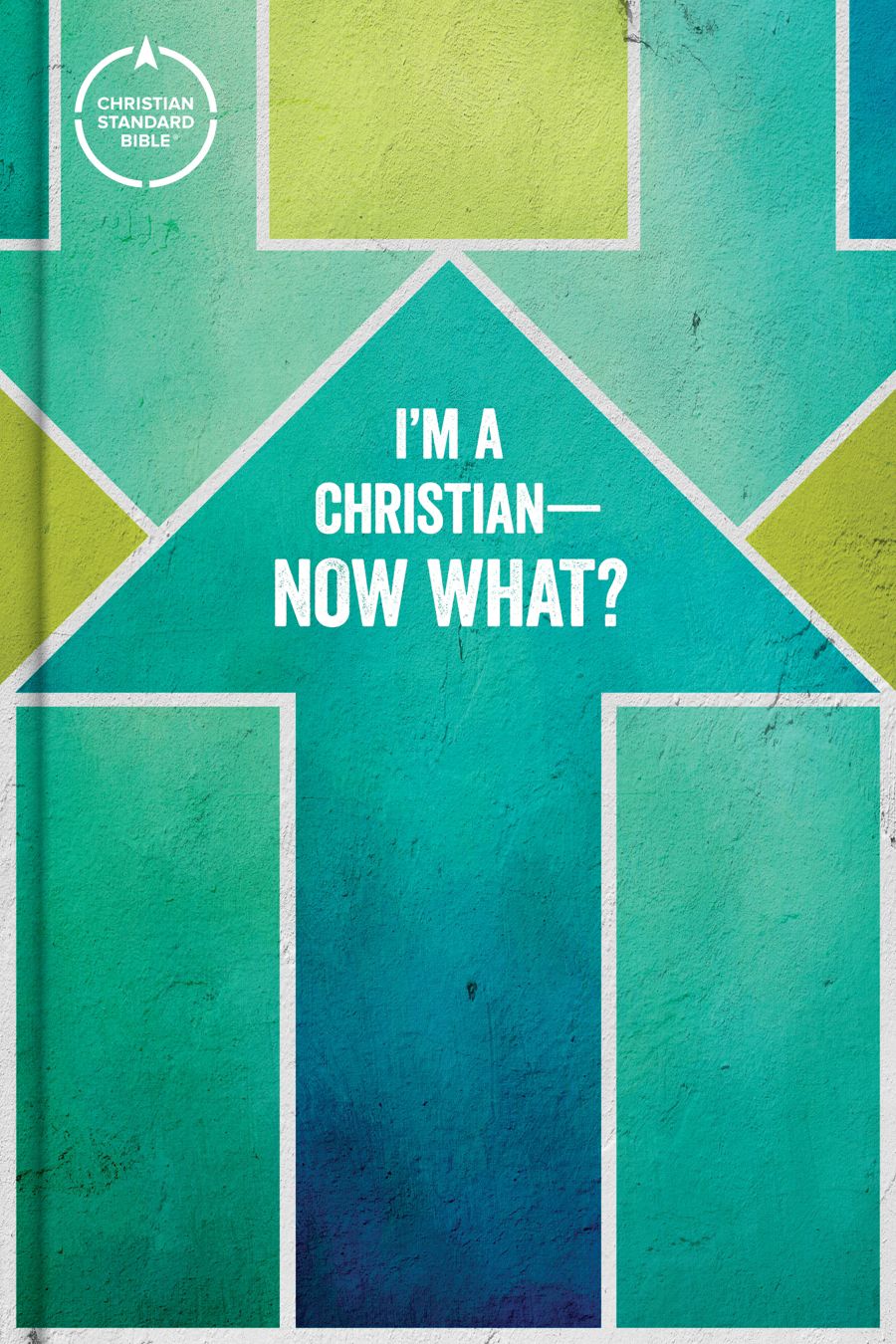 CSB I’m a Christian—Now What? Bible for Kids, Hardcover